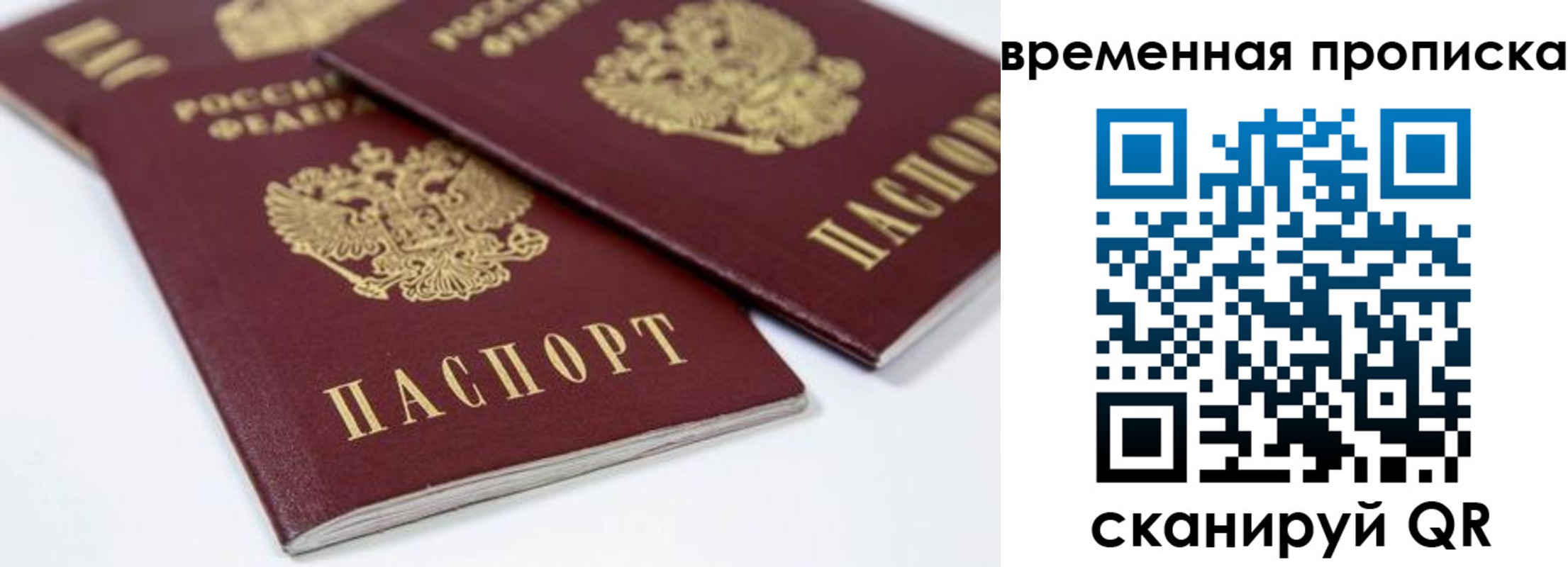 прописка для школы в Свирске